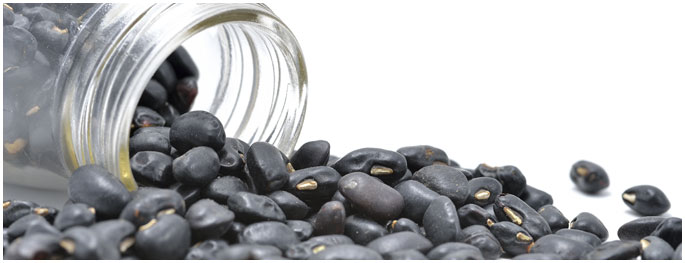 black-matpe-urad-dal-faq