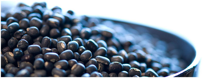 black-matpe-urad-dal-sq