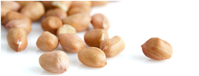 groundnut-red-skin-java-quality