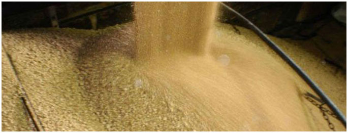 soybean-meal-extraction